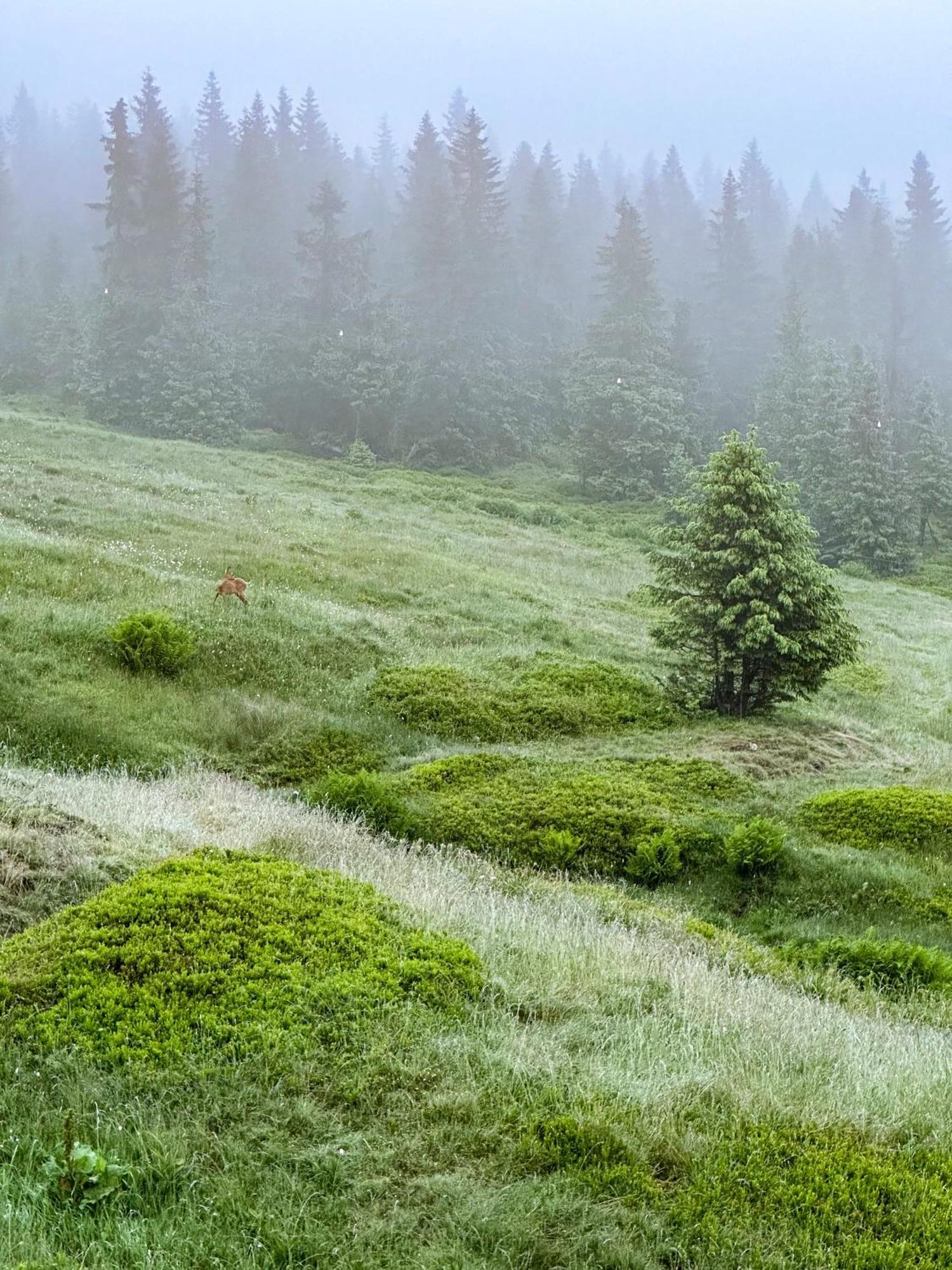 Готель Horska Bouda Kuprovka Стражне Екстер'єр фото